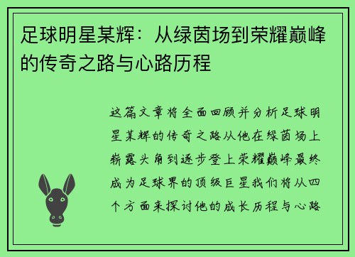 足球明星某辉：从绿茵场到荣耀巅峰的传奇之路与心路历程