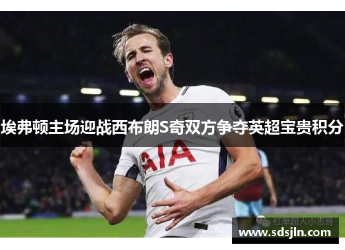埃弗顿主场迎战西布朗S奇双方争夺英超宝贵积分