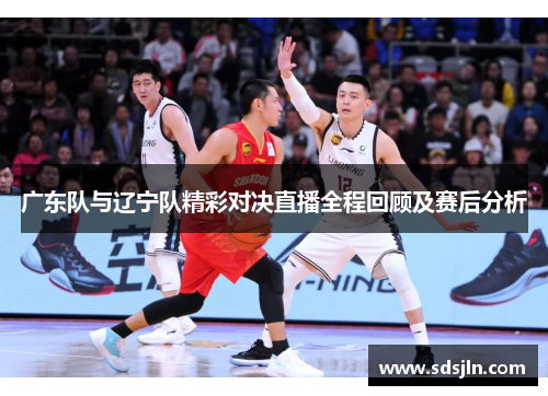 广东队与辽宁队精彩对决直播全程回顾及赛后分析